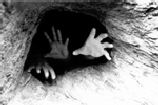 hands