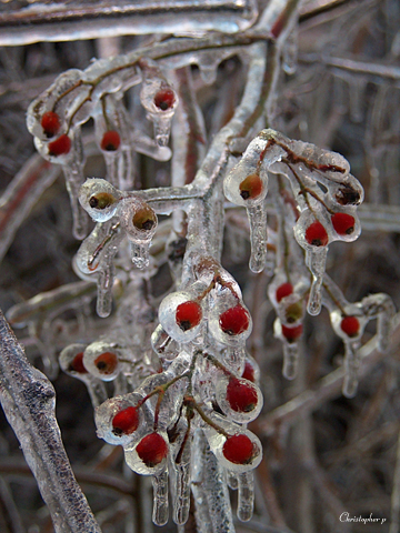 Icicles 2