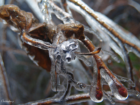 Icicles 5